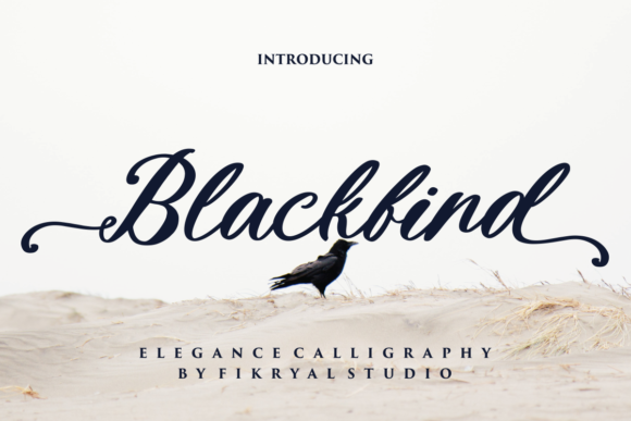 Blackbird: The Cursive Script Font for Authentic Design