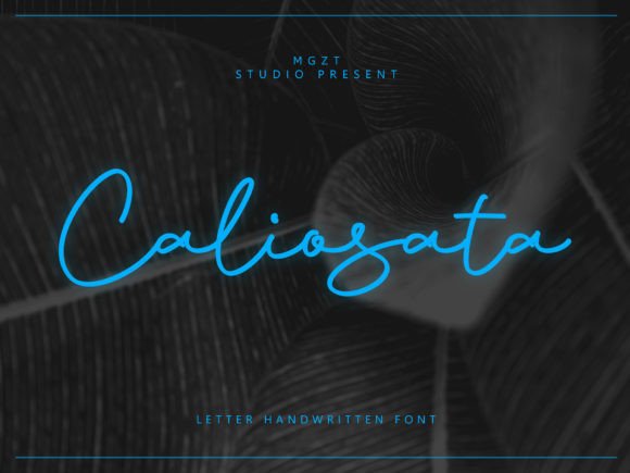 Caliosata: Where Playful Charm Meets Polished Elegance