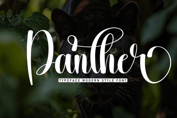 Panther: A Stylish Script Font for Modern Designers