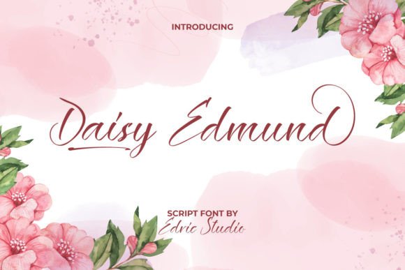 Understanding the Daisy Edmund Font: A Designer's Perspective